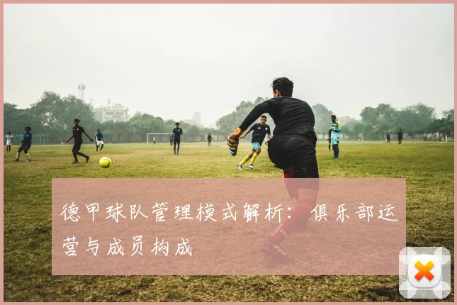 德甲球队管理模式解析：俱乐部运营与成员构成